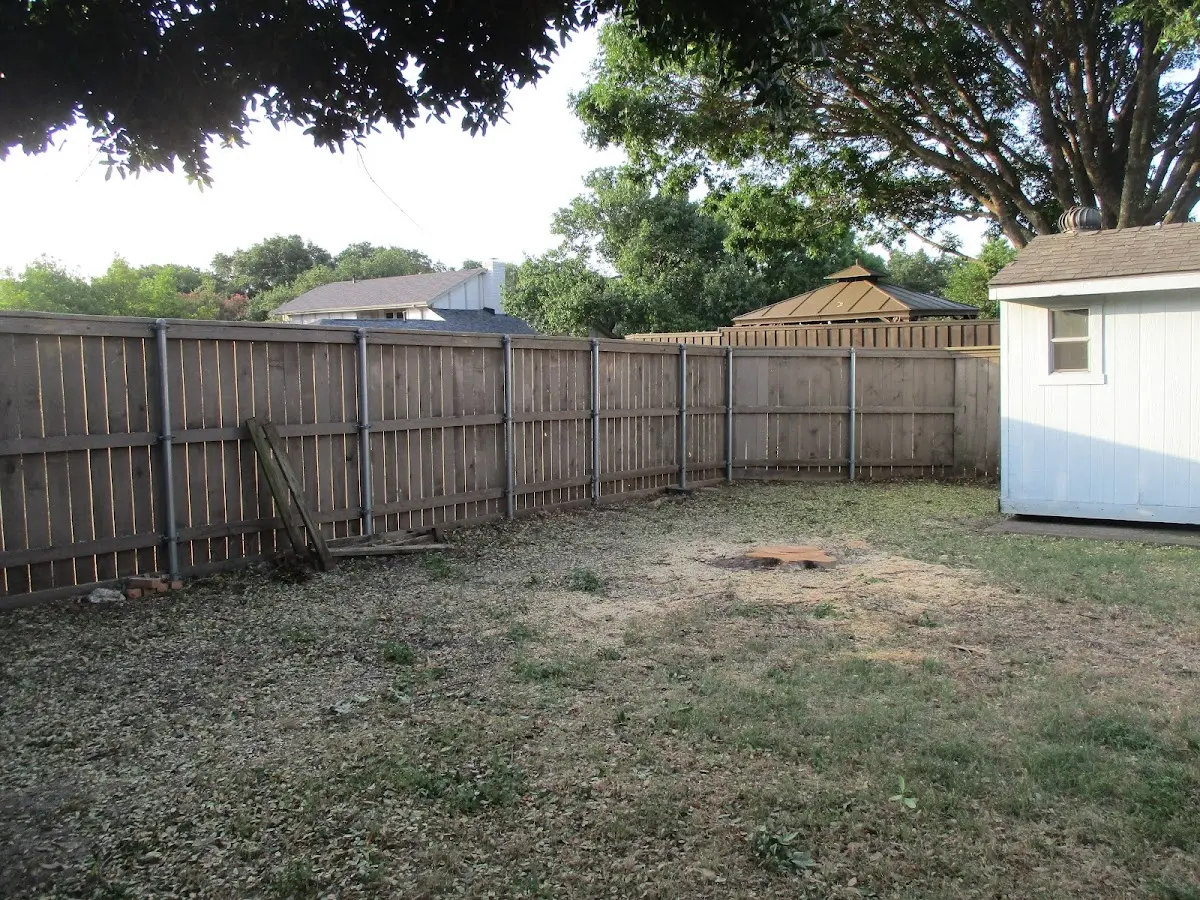 Cleared yard after professional tree removal in Wexford