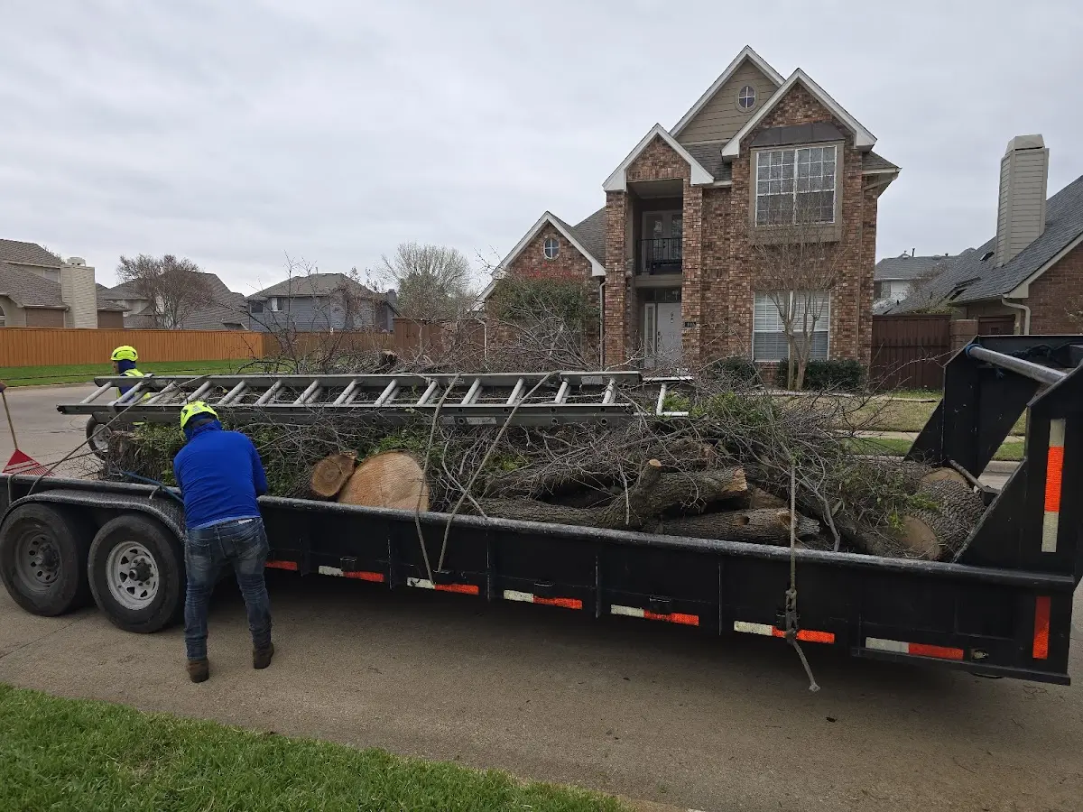 Expert Tree Fertilization with proper safety equipment in Wexford
